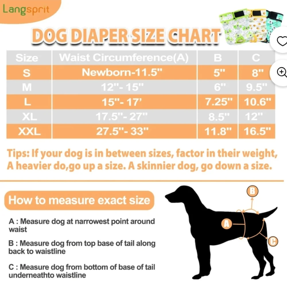 Langsprit 3pk Washable Female Dog Diapers In Koala Print Size Large